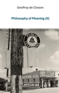 PHILOSOPHY OF MEANING II - ILLUSTRATIONS, COULEUR