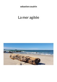 La mer agitée