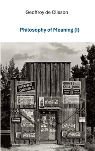 PHILOSOPHY OF MEANING I - ILLUSTRATIONS, COULEUR