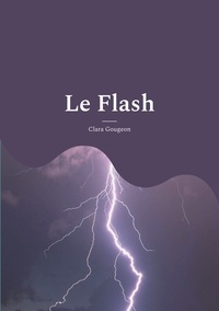 LE FLASH - RECUEIL DE POEMES