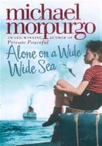 Alone on a wide wide sea