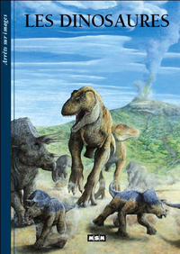DINOSAURES-ARRETS/IMAGES