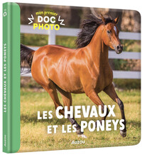 Les chevaux et les poneys
