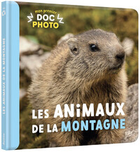 Les animaux de la montagne