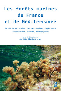 Les forêts marines de France et de Méditerranée