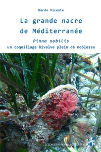 La grande nacre de Méditerranée