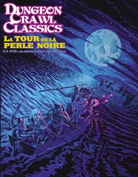 DUNGEON CRAWL CLASSICS HORS-SERIE 01 : LA TOUR DE LA PERLE NOIRE (NIV1)