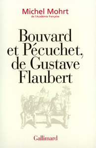 BOUVARD ET PECUCHET, DE GUSTAVE FLAUBERT - ADAPTATION TELEVISEE