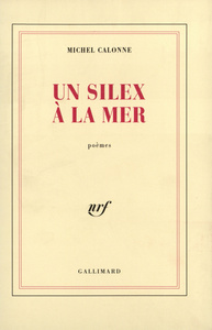 Un silex à la mer