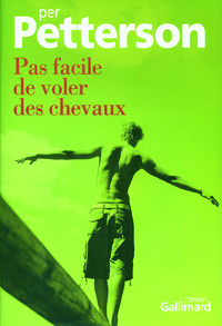 PAS FACILE DE VOLER DES CHEVAUX
