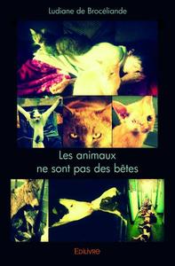 Les animaux ne sont pas des bêtes