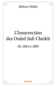 L'Insurrection des Ouled Sidi Cheikh