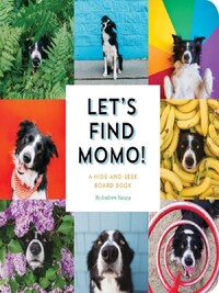 Let's Find Momo ! /anglais