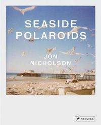 Jon Nicholson Seaside Polaroids /anglais