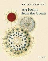 ERNST HAECKEL ART FORMS FROM THE OCEAN /ANGLAIS
