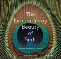 Deborah Samuel The Extraordinary Beauty of Birds: Designs, Patterns and Details /anglais
