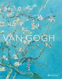 Van Gogh The Bigger Picture /anglais