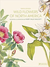 Wild Flowers of North America : Botanical Illustrations by Mary Vaux Walcott /anglais