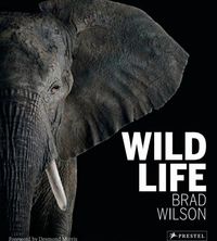 Brad Wilson Wild Life /anglais