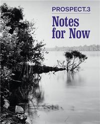 PROSPECT 3: NOTES FOR NOW /ANGLAIS