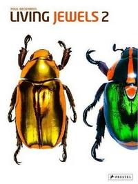 Living Jewels 2 The Magical Design of Beetles /anglais