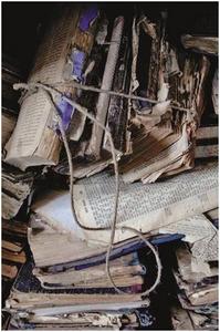 Yuri Dojc Last Folio A Photographic Memory /anglais