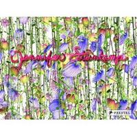 Jennifer Steinkamp /anglais/allemand