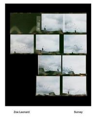 Zoe Leonard Survey /anglais