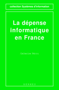 La dépense informatique en France