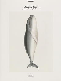 TIRAGE - BALEINE A BOSSE