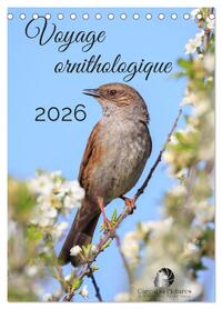 Voyage ornithologique (Calendrier de bureau 2026 DIN A5 horizontal), CALVENDO calendrier mensuel