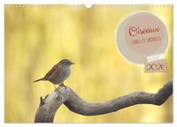Oiseaux libres et sauvages (Calendrier mural 2026 DIN A3 vertical), CALVENDO calendrier mensuel