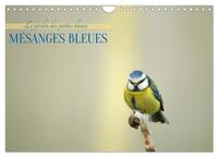Mésanges bleues (Calendrier mural 2027 DIN A4 vertical), CALVENDO calendrier mensuel