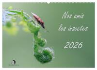 Nos amis les insectes (Calendrier mural 2026 DIN A2 vertical), CALVENDO calendrier mensuel