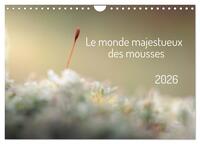 Le monde majestueux des mousses (Calendrier mural 2026 DIN A4 vertical), CALVENDO calendrier mensuel