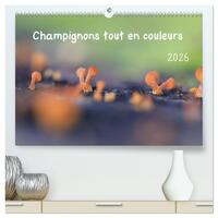 Champignons tout en couleurs (Calendrier mural 2026 DIN A2 vertical) calendrier de bureau