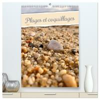 Plages et coquillages  (Calendrier mural 2027 DIN A2 horizontal) calendrier de bureau
