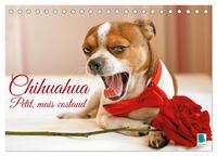 Chihuahua : petit, mais costaud (Calendrier de bureau 2026 DIN A5 vertical), CALVENDO calendrier mensuel