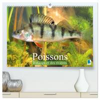 Poissons : d'étangs et des rivières (Calendrier mural 2027 DIN A2 vertical) calendrier de bureau