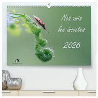 Nos amis les insectes  (Calendrier mural 2026 DIN A2 vertical) calendrier de bureau