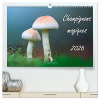 Champignons magiques (Calendrier mural 2026 DIN A2 vertical) calendrier de bureau