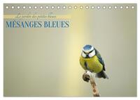 Mésanges bleues (Calendrier de bureau 2027 DIN A5 vertical), CALVENDO calendrier mensuel