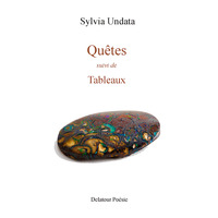 Quêtes suivi de Tableaux