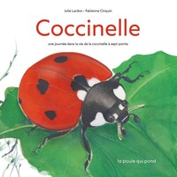 Coccinelle