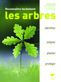 Reconnaître facilement les arbres