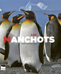 LES MANCHOTS