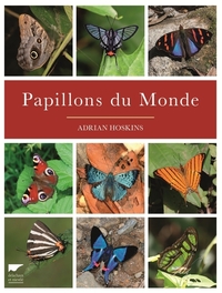 PAPILLONS DU MONDE