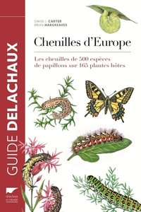 Chenilles d'Europe