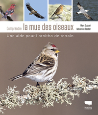 Comprendre la mue des oiseaux