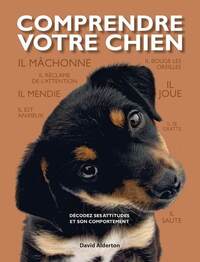 COMPRENDRE VOTRE CHIEN - DECODEZ SES ATTITUDES ET SON COMPORTEMENT